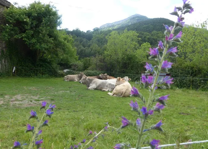 Casa Santafe Cr-hu-1271 San Juste